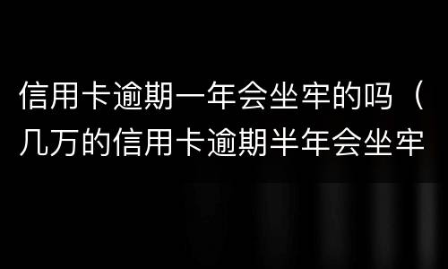 信用卡逾期一年会坐牢的吗（几万的信用卡逾期半年会坐牢吗?）