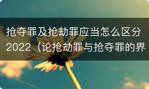 抢夺罪及抢劫罪应当怎么区分2022（论抢劫罪与抢夺罪的界限）