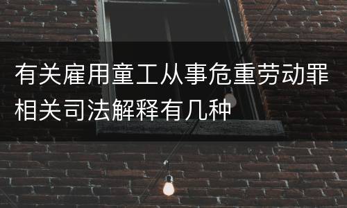 有关雇用童工从事危重劳动罪相关司法解释有几种