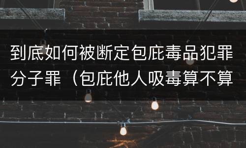 到底如何被断定包庇毒品犯罪分子罪（包庇他人吸毒算不算毒品犯罪）