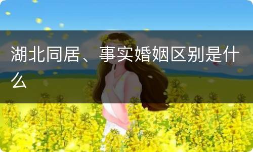 湖北同居、事实婚姻区别是什么
