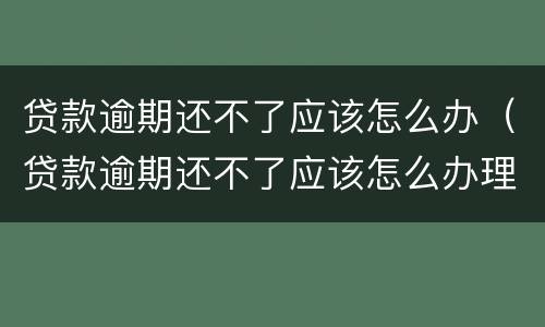 贷款逾期还不了应该怎么办（贷款逾期还不了应该怎么办理）