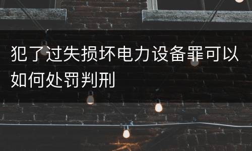 犯了过失损坏电力设备罪可以如何处罚判刑