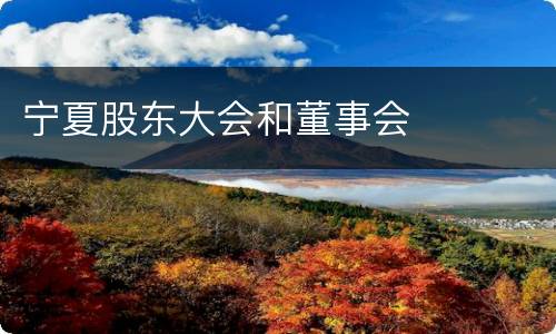 宁夏股东大会和董事会