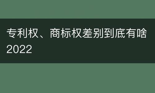 专利权、商标权差别到底有啥2022