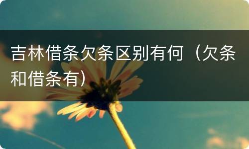 吉林借条欠条区别有何（欠条和借条有）