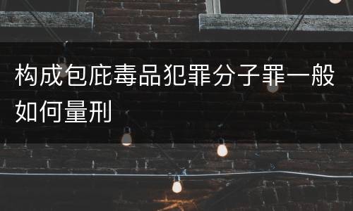 构成包庇毒品犯罪分子罪一般如何量刑