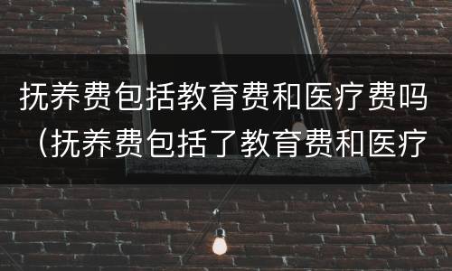 抚养费包括教育费和医疗费吗（抚养费包括了教育费和医疗费,为啥还要单独列出来）