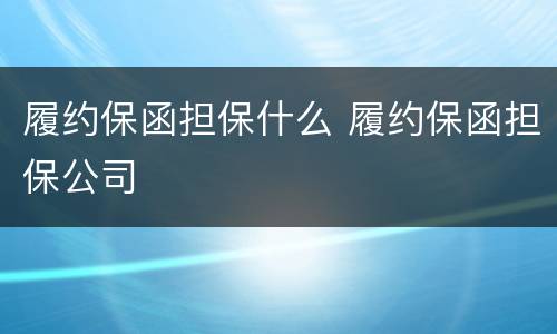 履约保函担保什么 履约保函担保公司