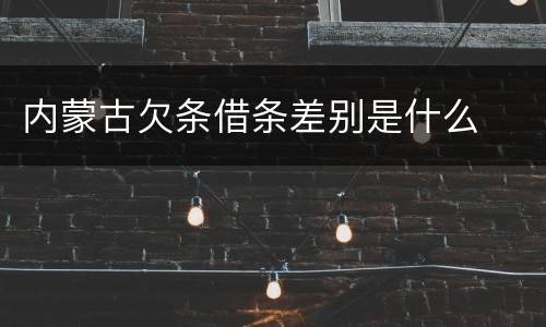 内蒙古欠条借条差别是什么