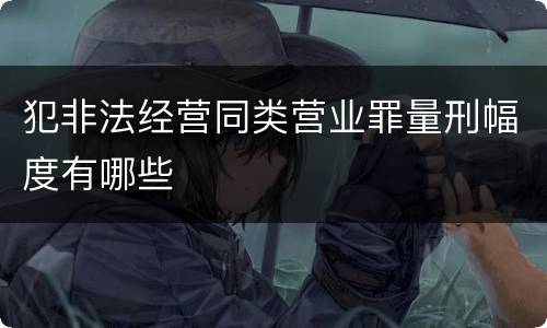 犯非法经营同类营业罪量刑幅度有哪些