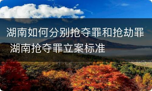 湖南如何分别抢夺罪和抢劫罪 湖南抢夺罪立案标准