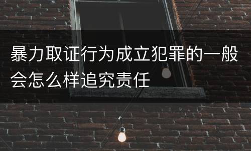 暴力取证行为成立犯罪的一般会怎么样追究责任