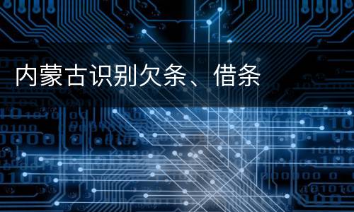 内蒙古识别欠条、借条