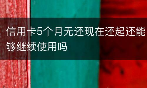 信用卡5个月无还现在还起还能够继续使用吗