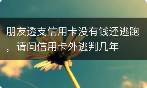 朋友透支信用卡没有钱还逃跑，请问信用卡外逃判几年