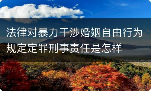 法律对暴力干涉婚姻自由行为规定定罪刑事责任是怎样