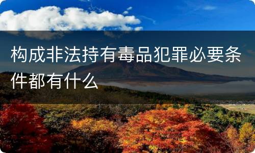 构成非法持有毒品犯罪必要条件都有什么