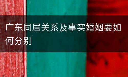 广东同居关系及事实婚姻要如何分别