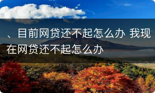 、目前网贷还不起怎么办 我现在网贷还不起怎么办