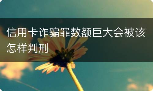 信用卡诈骗罪数额巨大会被该怎样判刑