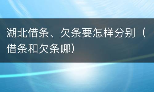 湖北借条、欠条要怎样分别（借条和欠条哪）