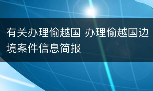 有关办理偷越国 办理偷越国边境案件信息简报