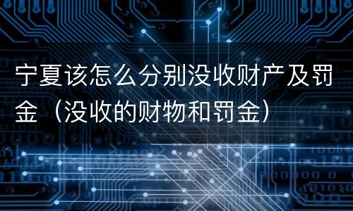 宁夏该怎么分别没收财产及罚金（没收的财物和罚金）