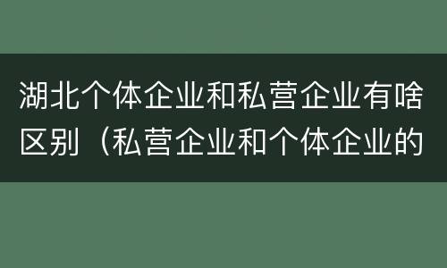 湖北个体企业和私营企业有啥区别（私营企业和个体企业的区别）