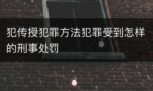 犯传授犯罪方法犯罪受到怎样的刑事处罚
