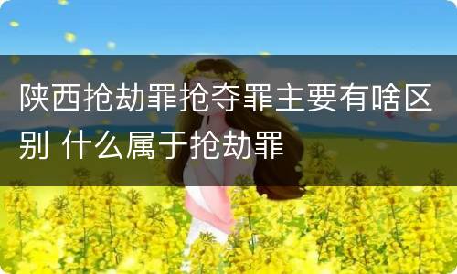 陕西抢劫罪抢夺罪主要有啥区别 什么属于抢劫罪