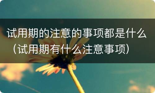 试用期的注意的事项都是什么（试用期有什么注意事项）