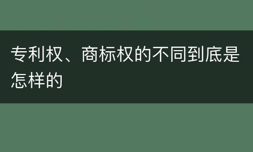专利权、商标权的不同到底是怎样的