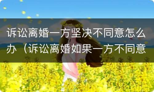 诉讼离婚一方坚决不同意怎么办（诉讼离婚如果一方不同意怎么办）
