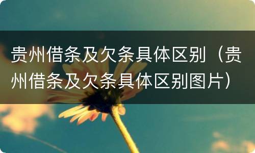 贵州借条及欠条具体区别（贵州借条及欠条具体区别图片）