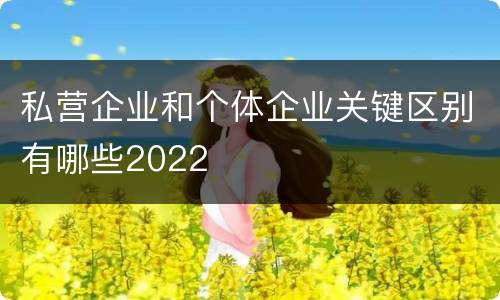 私营企业和个体企业关键区别有哪些2022
