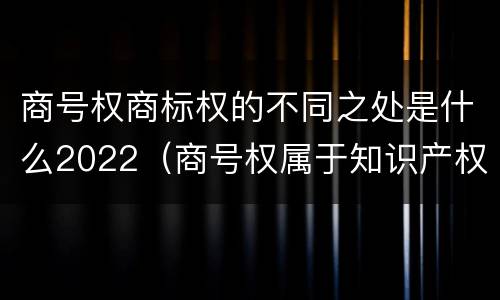 商号权商标权的不同之处是什么2022（商号权属于知识产权吗）