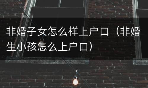 非婚子女怎么样上户口（非婚生小孩怎么上户口）