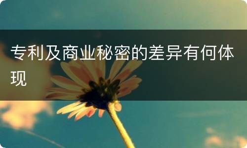 专利及商业秘密的差异有何体现