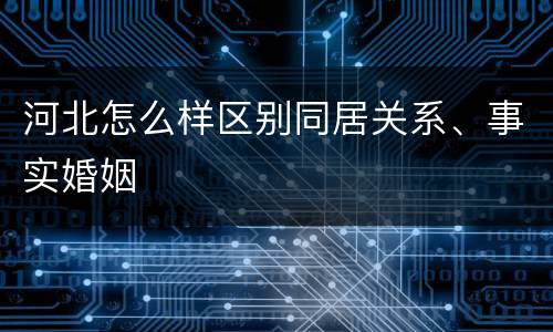 河北怎么样区别同居关系、事实婚姻
