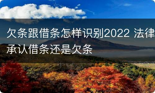 欠条跟借条怎样识别2022 法律承认借条还是欠条