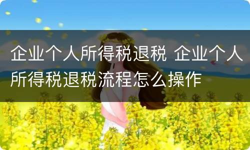 企业个人所得税退税 企业个人所得税退税流程怎么操作