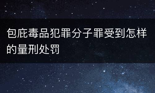 包庇毒品犯罪分子罪受到怎样的量刑处罚