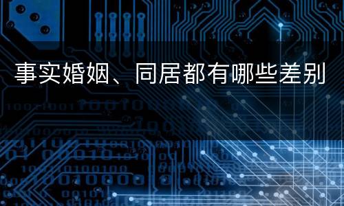 事实婚姻、同居都有哪些差别