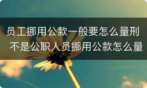 员工挪用公款一般要怎么量刑 不是公职人员挪用公款怎么量刑