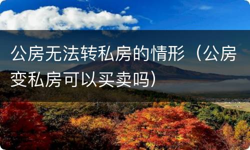 公房无法转私房的情形（公房变私房可以买卖吗）