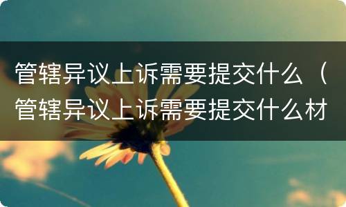 管辖异议上诉需要提交什么（管辖异议上诉需要提交什么材料）