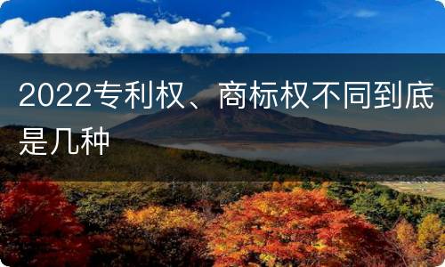2022专利权、商标权不同到底是几种