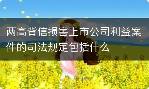 两高背信损害上市公司利益案件的司法规定包括什么