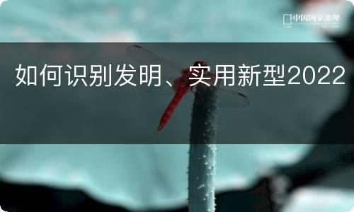 如何识别发明、实用新型2022